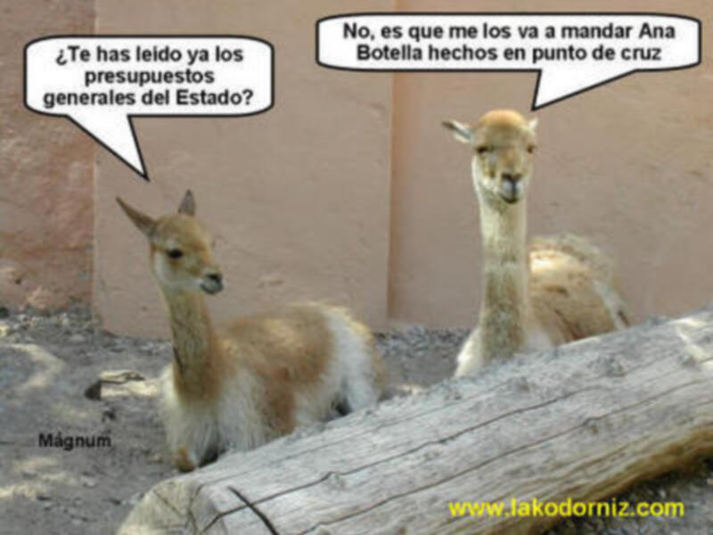 Dos vicuñas están sentadas en el suelo, con un tronco de madera en primer plano. En la imagen hay dos cajas de diálogo con texto humorístico sobre presupuestos y un link a una página web.