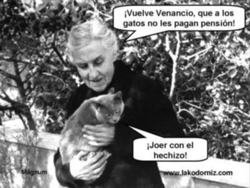 ¡Vuelve Venancio, que a los gatos no les pagan pensión! ¡Joer con el hechizado!