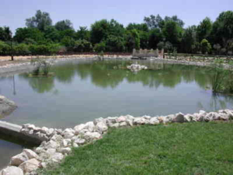 Un lago con vegetación y rocas en la orilla, rodeado de árboles y césped.