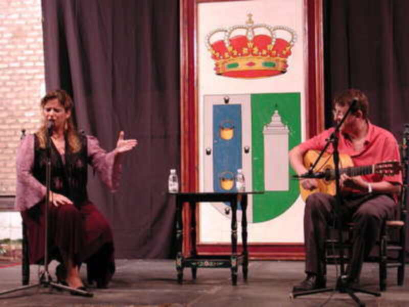 Dos personas en un escenario, una con un violín y otra tocando guitarra. En el fondo, una bandera con un escudo y corona.