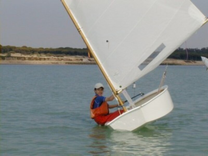 Un regatista navega en un velero ligero en aguas tranquilas, con un paisaje de árboles en el horizonte.