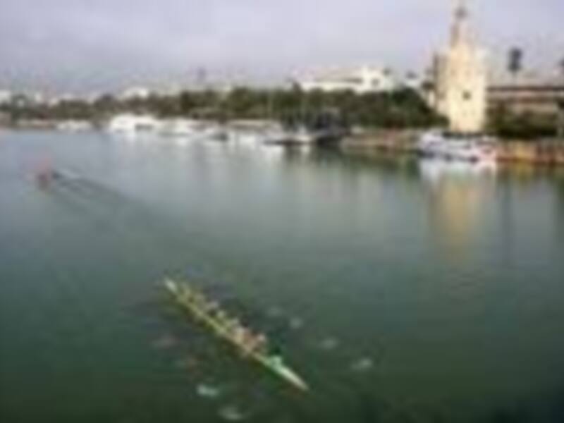 Competición de remo en el río con vistas a edificios históricos en el fondo.