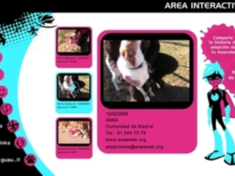 El área interactiva muestra una campaña de adopción de mascotas, con fotos de perros y un personaje animado promocionando la adopción.