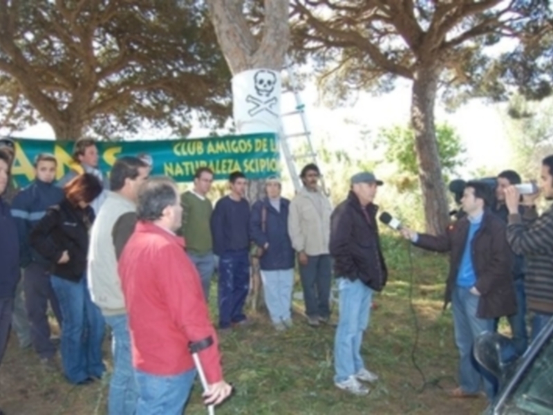 Grupo de personas reunidos en un parque, entrevistando a uno de ellos mientras otros observan.