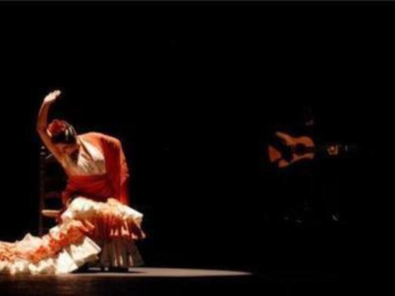 Danza flamenca en escena con bailaora en traje típico y músico tocando guitarra al fondo.