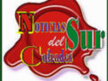 Noticias del Sur: Noticias del Sur, una publicación que ofrece información actualizada sobre eventos y noticias relevantes en la región del Sur.