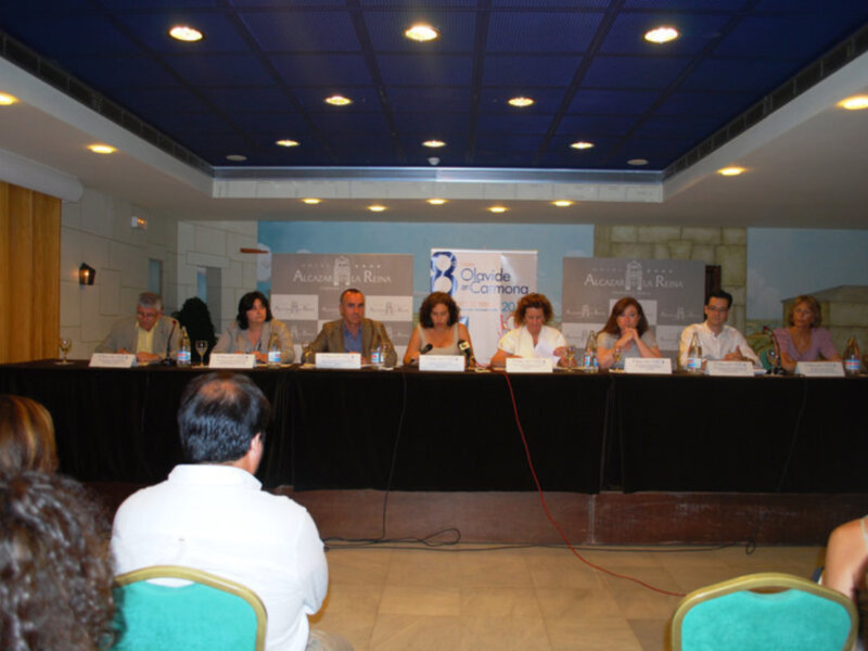Reunión de panelistas en una conferencia sobre Alcazaba de la Reina en Camona.