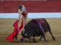 Un torero con capa roja y chaleco dorado se enfrenta a un toro negro en una plaza de toros. El torero está en acción, manteniendo su postura mientras el animal se mueve rápidamente. La arena es de tierra, y el fondo muestra una pared roja con un muro blanco.