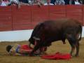 Un toro negro con cuernos grandes ataca a un matador de toros vestido en rojo y dorado, mientras el público observa desde detrás de un muro rojo.