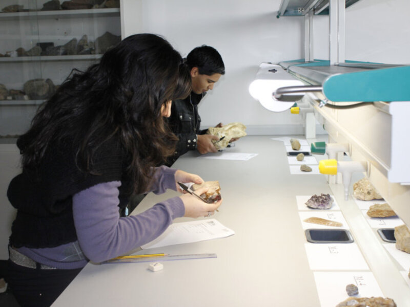 Dos personas investigando y documentando fósiles en un laboratorio de paleontología.