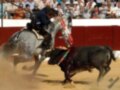 Un torero montado en un caballo blanco, luchando contra un toro negro en una plaza de toros. La escena está rodeada por espectadores y el clima es caluroso, con arena en el suelo.