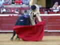 Un torero en traje de luces sostiene un capote rojo mientras enfrenta a un toro negro en una plaza de toros. La audiencia observa desde los asientos rojos y marrones.