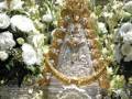 Imagen de una estatua religiosa rodeada de flores blancas, posiblemente en un entierro o funeral.