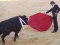 Un torero sostiene un capote rojo frente a un toro negro en una plaza de toros.