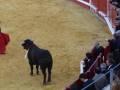 Un torero con capa roja frente a un toro en una plaza de toros.