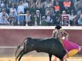 Un torero en acción durante una corrida de toros en una plaza de toros.