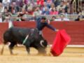 Un torero con un capote rojo lucha contra un toro negro en una plaza de toros. La audiencia observa atentamente la acción.