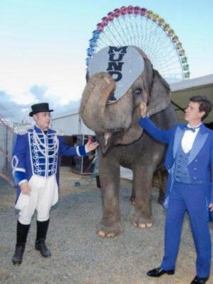 El conde de Salvatierra debuta como domador de elefantes en el circo mundial en Sevilla.