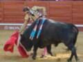Un torero en traje tradicional lucha con un toro negro en una plaza de toros. El torero sostiene una capa roja y azul, mientras el toro se prepara para atacar. La arena está rodeada por una pared roja y los espectadores observan desde arriba.