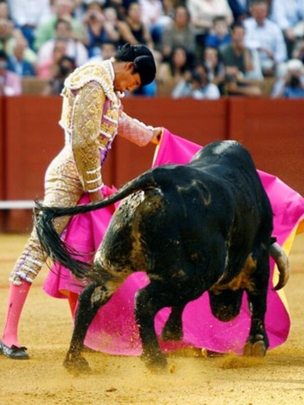 Un torero en traje de luces lidiando a un toro en una corrida de toros.