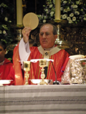 Sevilla.Apertura del año de la fe, presidida por el arzobispo Juan José Asenjo  en la Catedral Hispalense.
