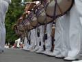Un grupo de marineros en uniforme blanco y sombreros militares, desfilando con instrumentos musicales.