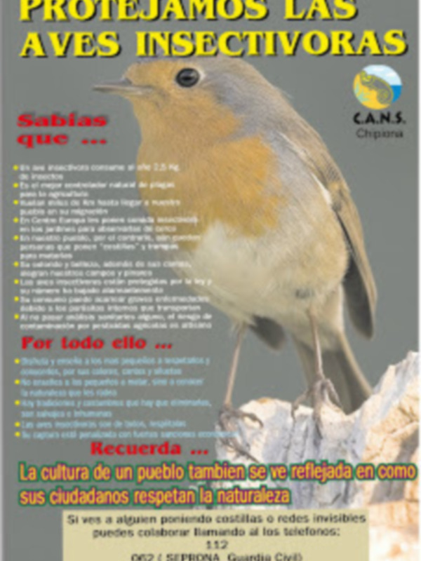 Cartel informativo sobre la protección de aves insectívoras en Chiapas, México, destacando su importancia en el control natural de plagas y su papel en la biodiversidad.