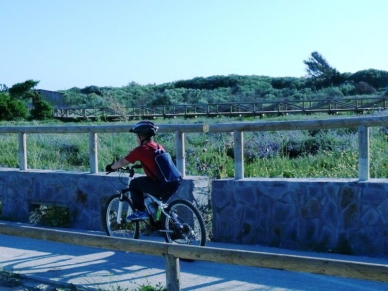 Un ciclista disfruta de un viaje en bicicleta en un camino de tierra rodeado de vegetación y un puente en el fondo.