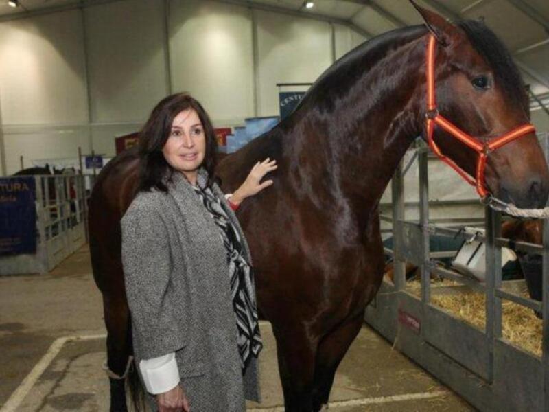 Mujer posando junto a un caballo en una exposición equina.