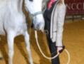 Una mujer con cabello largo y rubio, vistiendo una chaqueta gris y un suéter negro, posa junto a un caballo blanco en una arena de equitación. El fondo muestra un cartel con imágenes de caballos y texto que parece ser "NCC".