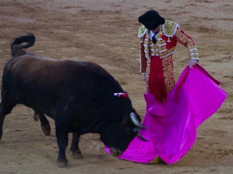 El Juli reaparece en Olivenza y sale por la puerta grande