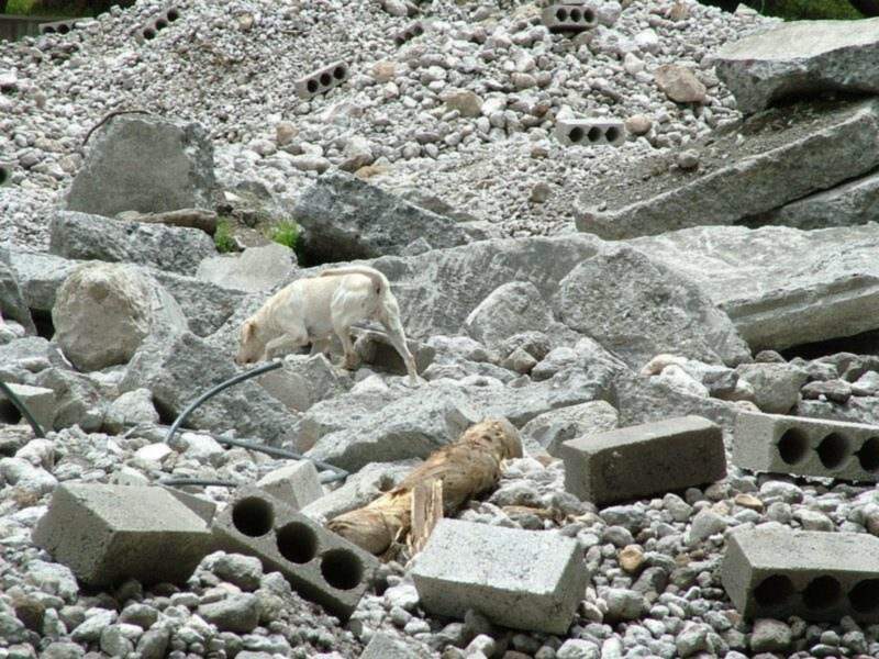 Fragmentos de bloques de hormigón y piedras en un entorno de construcción.
