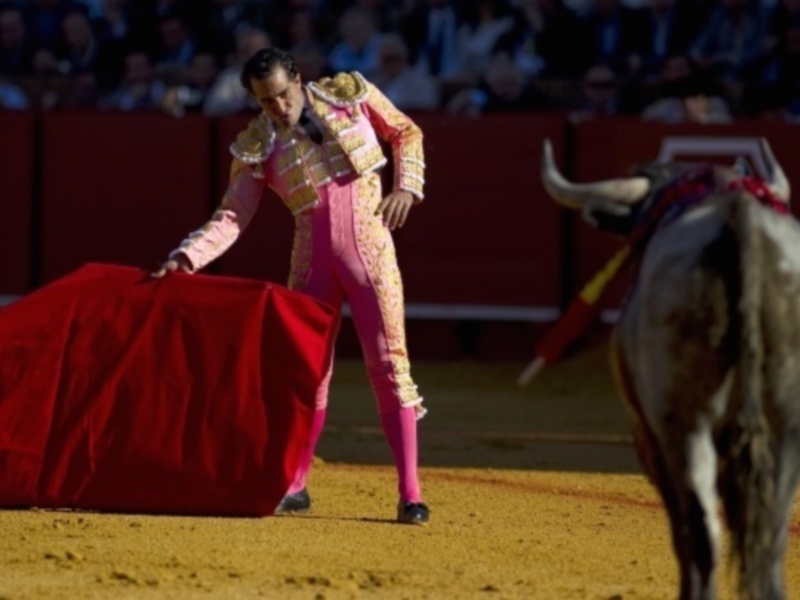 Toreador en traje de luces con capa roja y toro en el ruedo durante una corrida de toros.