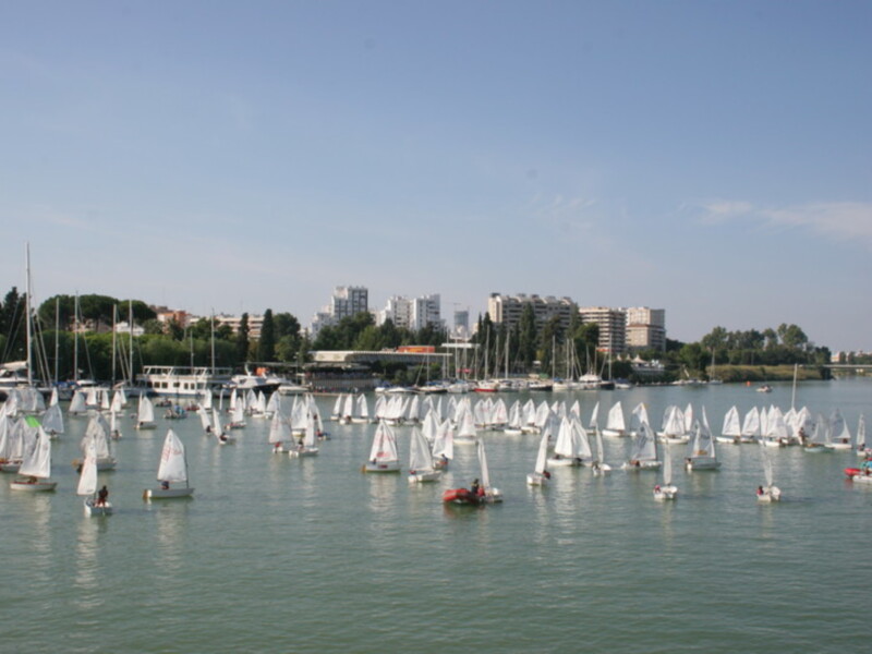 Regata de veleros en el puerto deportivo, con barcos y edificios al fondo.