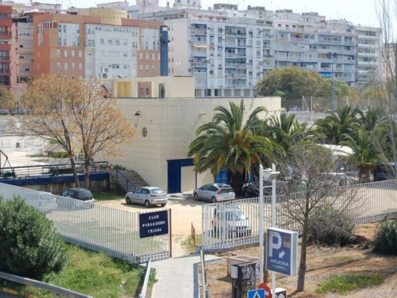 Vista del Club Palma Futsal junto a edificios residenciales, con palmeras y áreas verdes en primer plano.