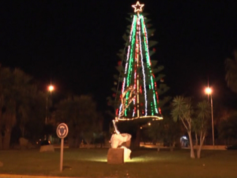 Árbol de Navidad iluminado con luces verdes y rojas en un parque nocturno.
