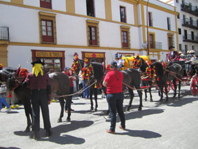 Domingo 19 de Abril de 2015, por la mañana