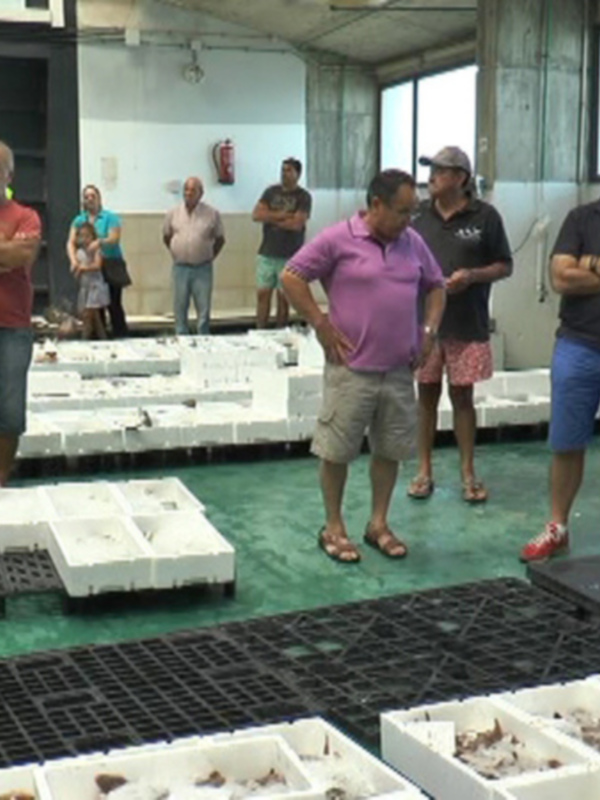 La Organización de Productores Pesqueros Artesanales explotará la lonja de Chipiona hasta 2018