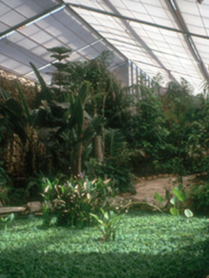 Jardín Americano de Sevilla