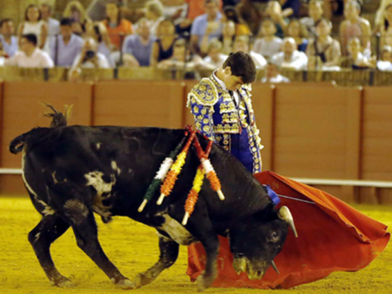 Un torero en acción durante una corrida de toros, con el público en el fondo.