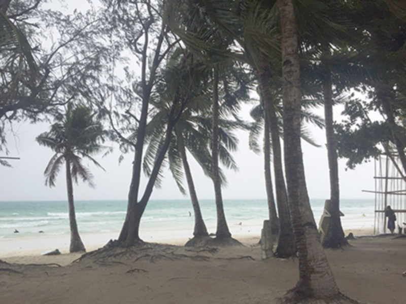 Palm trees line a serene beach with gentle waves and a cloudy sky.