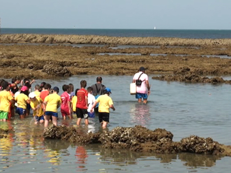 Una multitud de personas caminando en la orilla del mar, con rocas y agua alrededor. Algunos llevan bolsas y mochilas, mientras otros parecen disfrutar del contacto con el agua y la naturaleza.