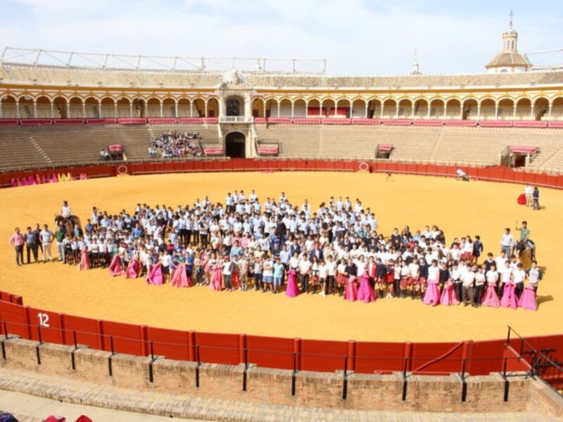Más de 1.000 escolares y universitarios participan en el taller de toreo en la Plaza de Toros de Sevilla
