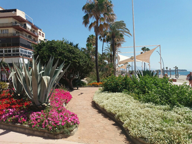 Un camino pavimentado con flores y plantas en un entorno urbano, con edificios y palmeras en el fondo, y un cielo azul claro.