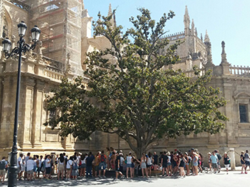 Un grupo de personas en un parque frente a una catedral gótica, con árboles y farolas alrededor.