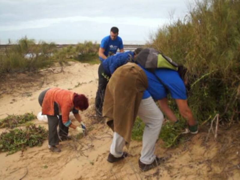 Un grupo de personas trabajando en la orilla del mar, despejando hierba y vegetación. El cielo está nublado con una tormenta en camino.