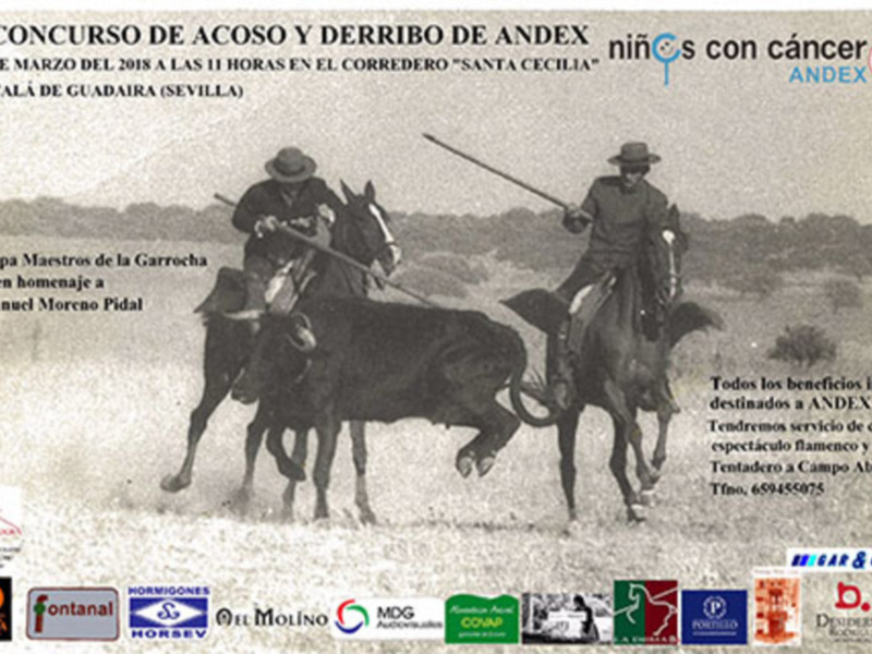 Afiche del V Concurso de Acoso y Derribo de Andex, celebrado el 10 de marzo de 2018 en Alcalá de Guadaíra, Sevilla, en homenaje a D. Manuel Moreno Pidal.