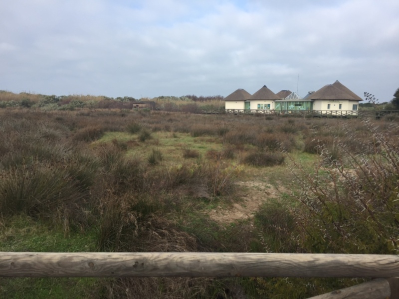 Cabañas en un paisaje rural con vegetación seca y cielo nublado.