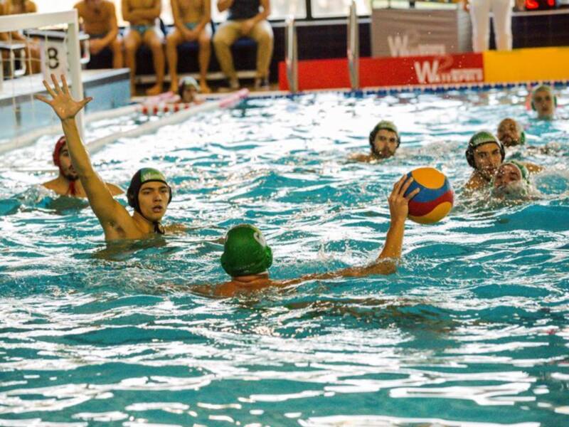 Jugadores de waterpolo compiten por el balón en un partido en piscina.