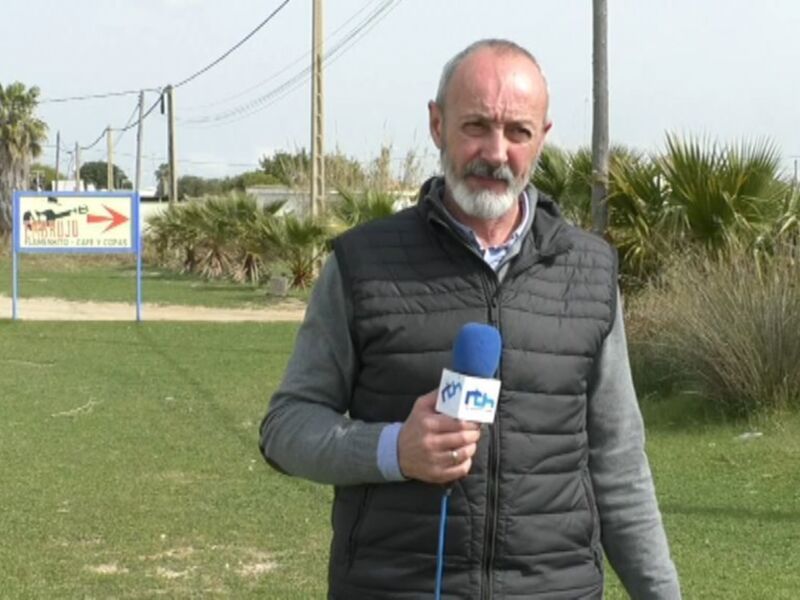 Reportero con micrófono de RTH en un entorno al aire libre con césped y palmeras.